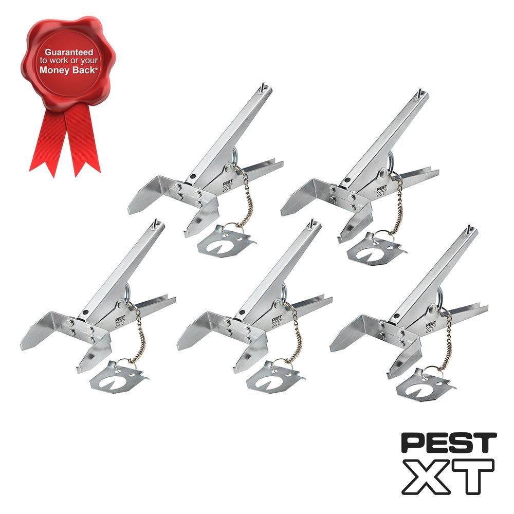 Galvanised Steel Mole Claw Catch trap