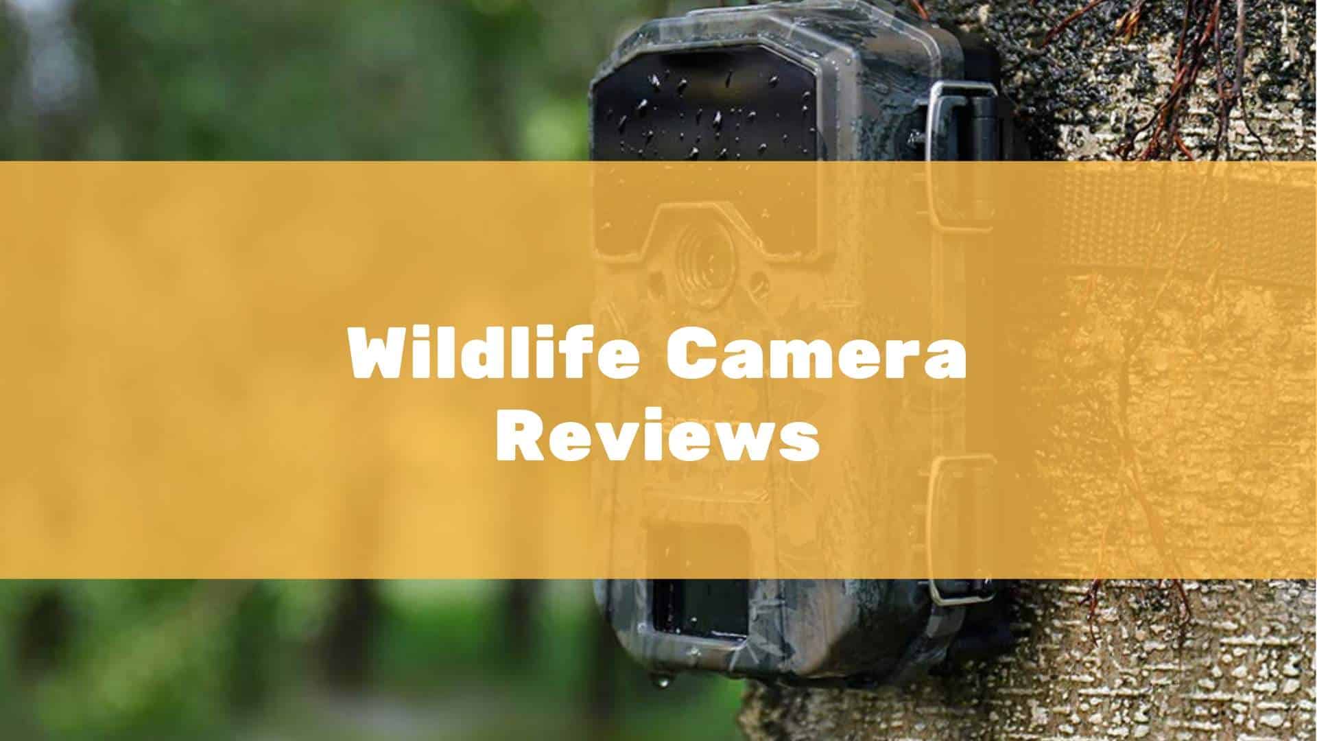 Best Garden Wildlife Camera Reviews UK UPDATED April 2023