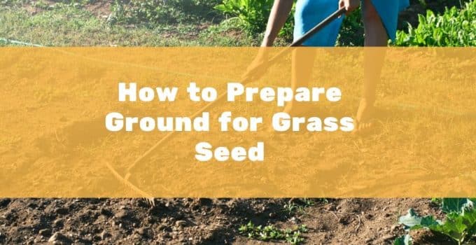 Preparing Ground for Grass Seed - Lawn Mower Hut